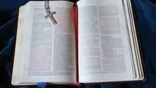 إنجيل يوحنا الاصحاح التاسع بصوت الم علم ابراهيم عياد 