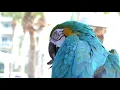 Sandestin Golf and Beach Resort at a Glance