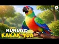 Lagu Burung Kakak Tua - Lagu Anak Populer | Versi Animasi 3D Lucu \u0026 Edukatif