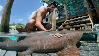 Exploring and Spearfishing the Bahamas – Part One (Take the Waters)