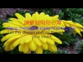 Download Lagu 花心 (周華健) Hua Xing (Zhou Hua Jian) Flower's Heart by Wakin Chau