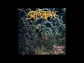 Download Lagu Suffocation - Pierced From Within (Full Album) 1995