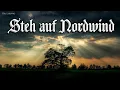 Download Lagu Steh auf Nordwind [German neofolk song][+English translation]