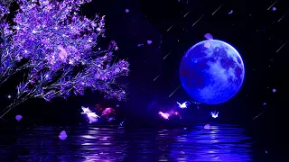 No Ads Healing Sleep Music For Ad Calm Down Stop Negative Thought Brain Massage While Sle