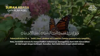 murotal al quran juz 30 juz amma merdu by alaa aqel