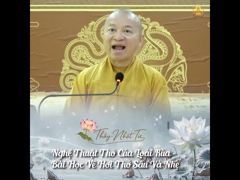 Nghệ Thuật Thở Của Loài Rùa, Bài Học Về Hơi Thở Sâu và Nhẹ