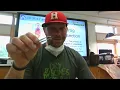 frog dissection part 1