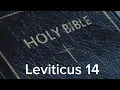 Leviticus 14 NIV The Bible