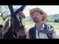 Ever Wonder Why Gunsmokes Festus Named His Mule Old Ruth