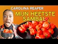Download Lagu Maak de Heetste Sambal Ooit met Carolina Reaper Pepers MP3