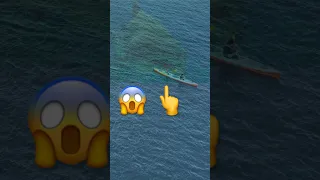 Megalodon Shark Attack Meg3 Simulation  Megalodon Shark Attack Meg3 Simulation