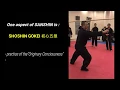 Lagu Bujinkan Sanshin / ShoShin Gokei  初心五型  Slow-Smooth-Invisible, Ninjutsu seminar Egypt 2018, C.Laiber