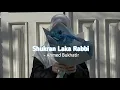 Shukran Laka Rabbi Nasheed 💙 || English Translation