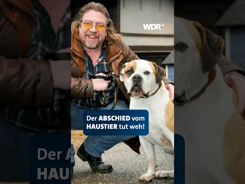 Armin Rohde über den Verlust von Hund Ike | WDR #shorts #kölnertreff