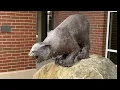 Athens Ohio Walking Tour
