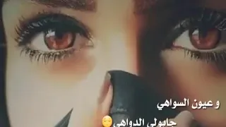 اغنية  وعيون السواهي جابولي الدواهي   اغنية روعة   دندنها