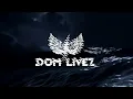 Ufo361 - Pass auf wen du liebst (Dom Livez Remix)