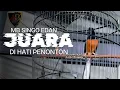 Download Lagu YANG PERLU DI PERTANYAKAN!!! KINERJA BURUNG ATAU KINERJA JURI!!! Singo edan hanya mentok 1 ajuan??? 