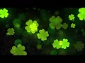 st patrick s day background 4k loop No Copyright No Copyright Stock