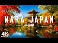 Autumn in Nara, Japan 4K UHD 🍂  Ancient Temples, Red Maple Trees \u0026 Relaxing Piano Melodies