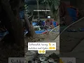 Download Lagu Subhanallah, kucing 🐈 ini melintasi saat dzikir 🤲🤲🥲🥹 #shorts #viral #fyp #trending #religi