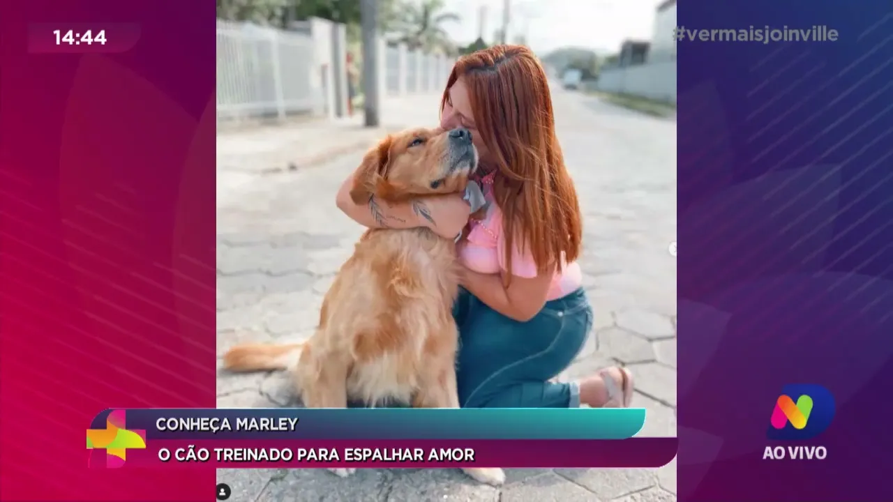 Conheça Marley: o cão treinado para espalhar amor