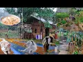 Download Lagu  Hujan Lebat Mencekam di Hutan | Berteduh Sendiri di Pondok \u0026 Menanam Cabe CTd-90