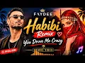Faydee – Habibiti Remix ❤️ | You Drive Me Crazy | Arabic Vibes