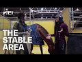 Download Lagu @NikiBaxterIHorseGroom behind the scenes of the FEI World Cup Finals™