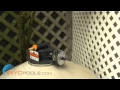 How To Add DE Filter Powder to Your Pool