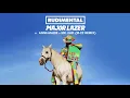 Download Lagu Rudimental \u0026 Major Lazer - Let Me Live (feat. Anne-Marie \u0026 Mr Eazi) [M-22 Remix]