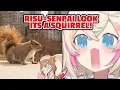 Download Lagu Fuwamoco instantly call Risu whenever they saw a SQUIRREL during their central park date