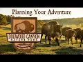 Plan Your Adventure to Dogwood Canyon
