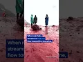Lagu Why rainfall has turned Iran's 'Red Beach' island blood red | DW News