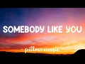 Download Lagu Somebody Like You - Keith Urban (Lyrics) 🎵