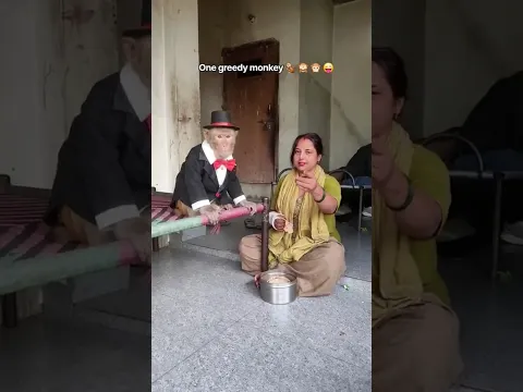 #Monkey #Hungry & #Angry #Funny #Monkeys #MonkeyVideo