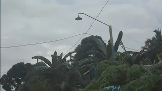 akau new kspk rbw 01 sultra usia 3 bulan 10 sw 70 titik merata di semua lantai 