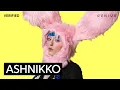 Download Lagu Ashnikko “Panic Attacks in Paradise” Official Lyrics \u0026 Meaning | Verified