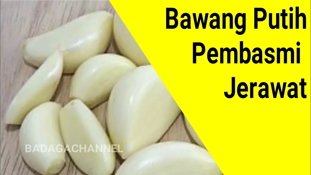 Cara Menghilangkan Jerawat Dalam Satu Malam ! + Ngobrol Soal Jerawat | Savira Millenita. 