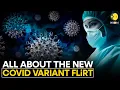 Download Lagu Should you be concerned about the new COVID-19 variant FLiRT? | WION Originals