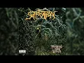 Suffocation (USA) - Pierced from Within (Album 1995)