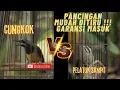 Lagu MASTERAN CUNGKOK VS PELATUK SAMPIT PELATUK BERAS !!! IDAMAN JURI !!! DIJAMIN BENDERA KONCER !!!