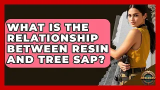 What Is The Relationship Between Resin And Tree Sap - Archaeology Quest