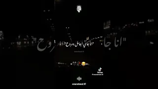 انا لا مسطول ولا بطوح انا جايه جامل ومروح                              اشتراك لايك  دندنها