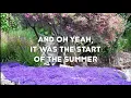 Ash - Oh Yeah (with Lyrics)