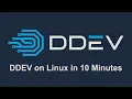 DDEV in 10 Minutes on Linux
