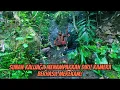 Download Lagu Sunan Kalijaga Menampakkan Diri! Kamera Berhasil Merekam!#purwamisteri 