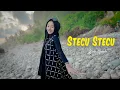 Lagu STECU STECU -  AINUN NABILA ( Faris Adam )