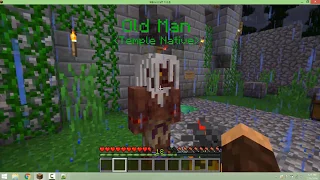 Minecraft Python Temple Lesson