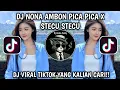 Download Lagu DJ NONA AMBON PICA PICA X STECU STECU VIRAL TIKTOK SLOW FULL SONG TERBARU 2025!!!